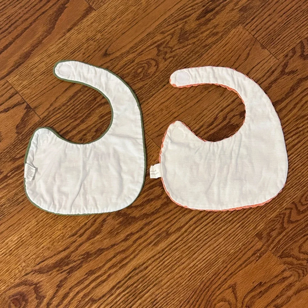 Pair of Halloween and Thanksgiving Day Bibs